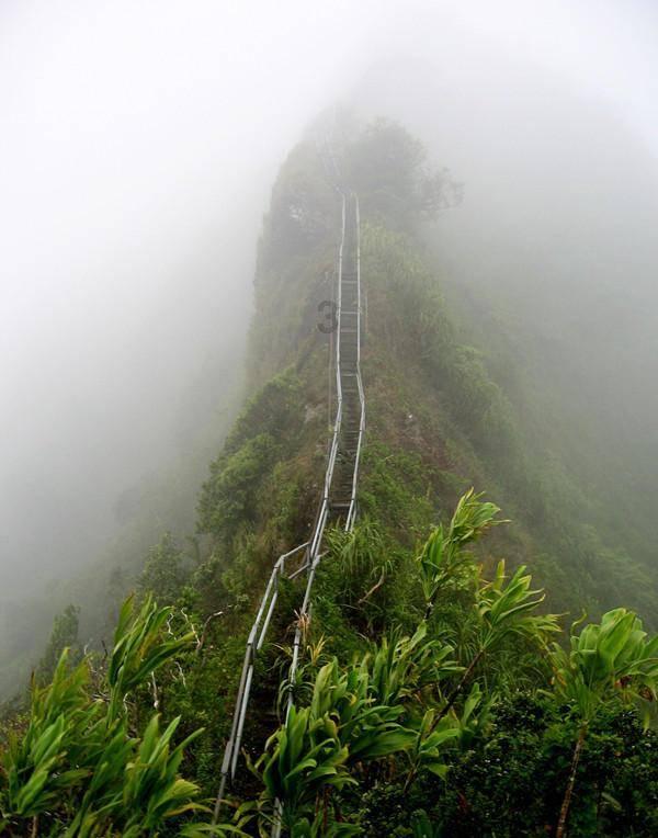 沪江开心词场
